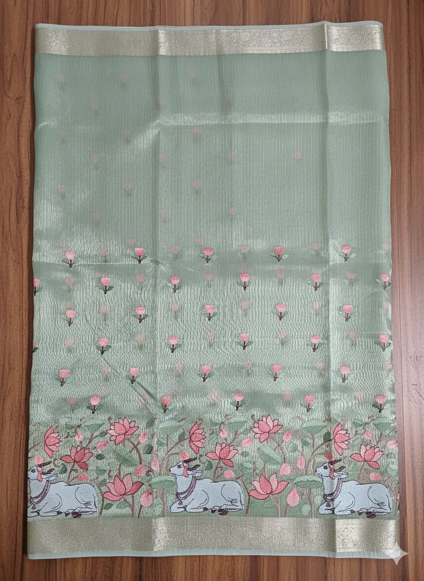 Tissue Embroidered saree