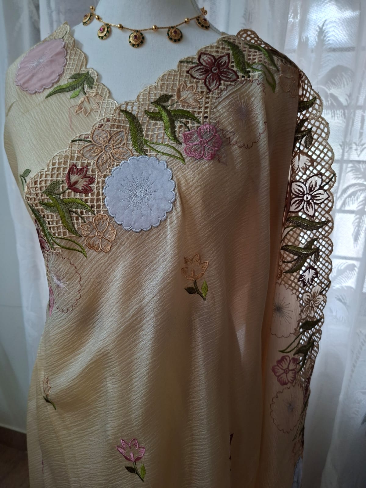Cut Work Saree with embroidery detailing