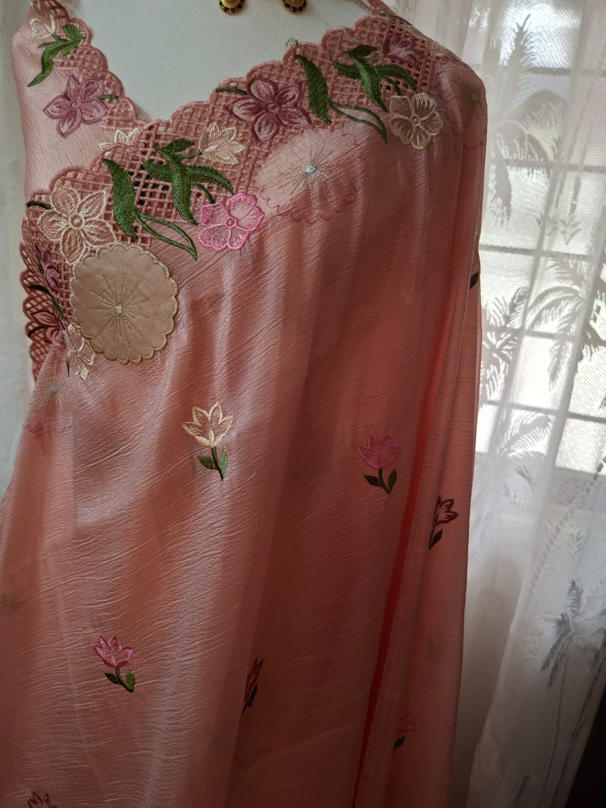 Cut Work Saree with embroidery detailing