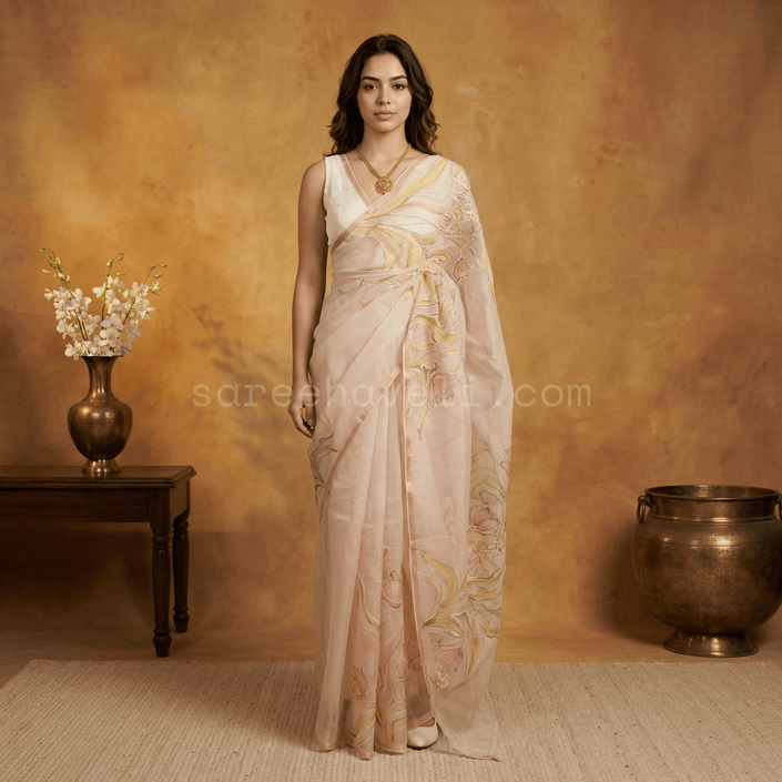 Classic Kora Saree - Saree Haveli Default Title